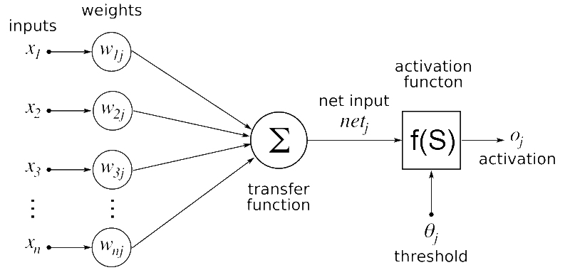 Trojan Weights: The Hidden Threat Lurking Inside Every Pre-Trained Model You Pull from the Internet